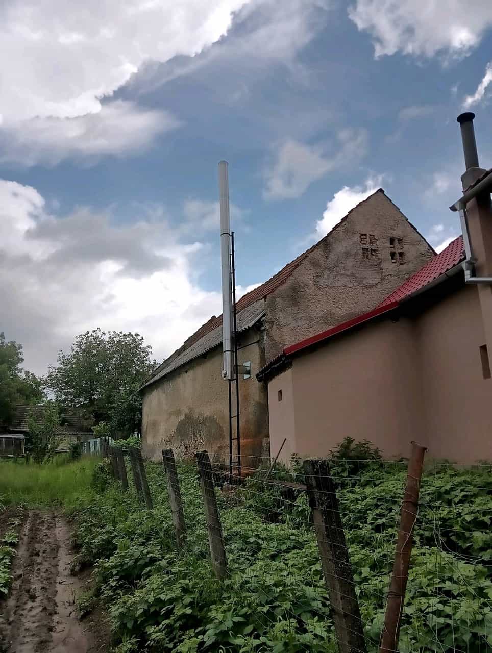 Zintz Alfred – lucrări 5