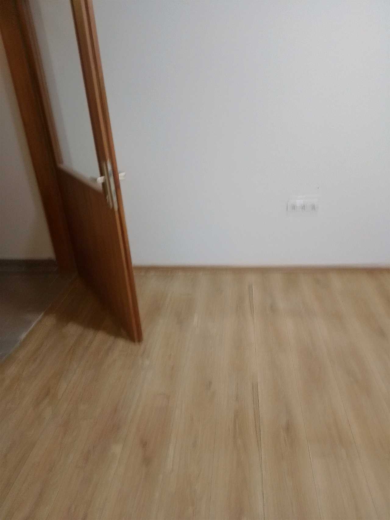 brancsik Renátó – lucrări 1