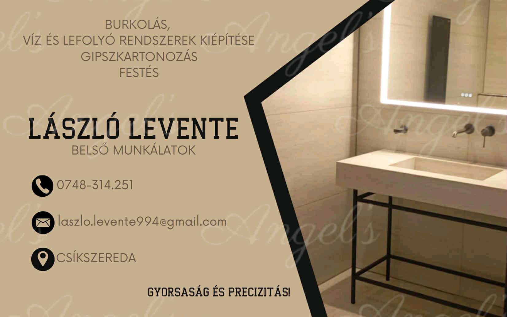 László Levente – lucrări 6