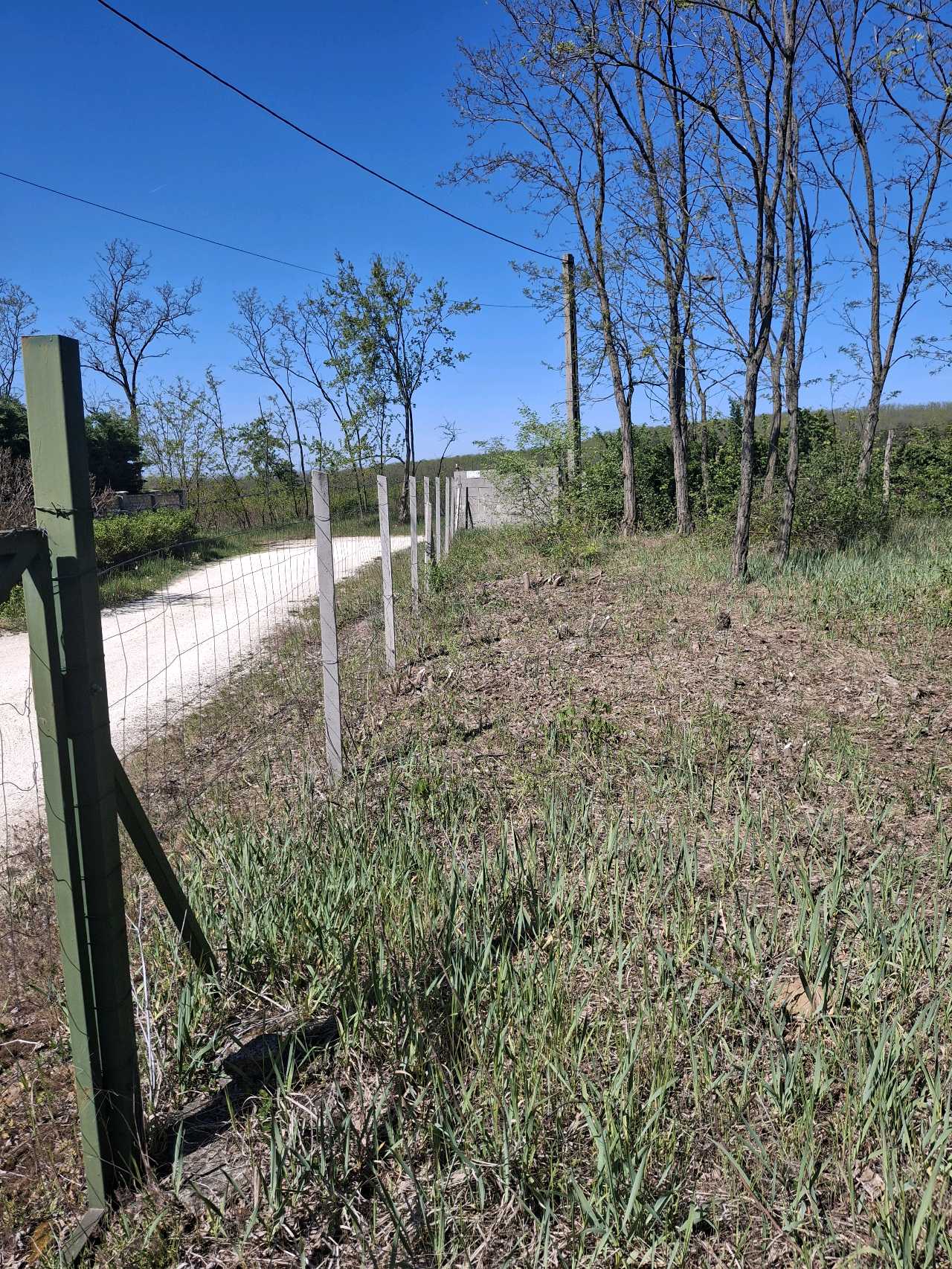 Asztalos Tamás – lucrări 6