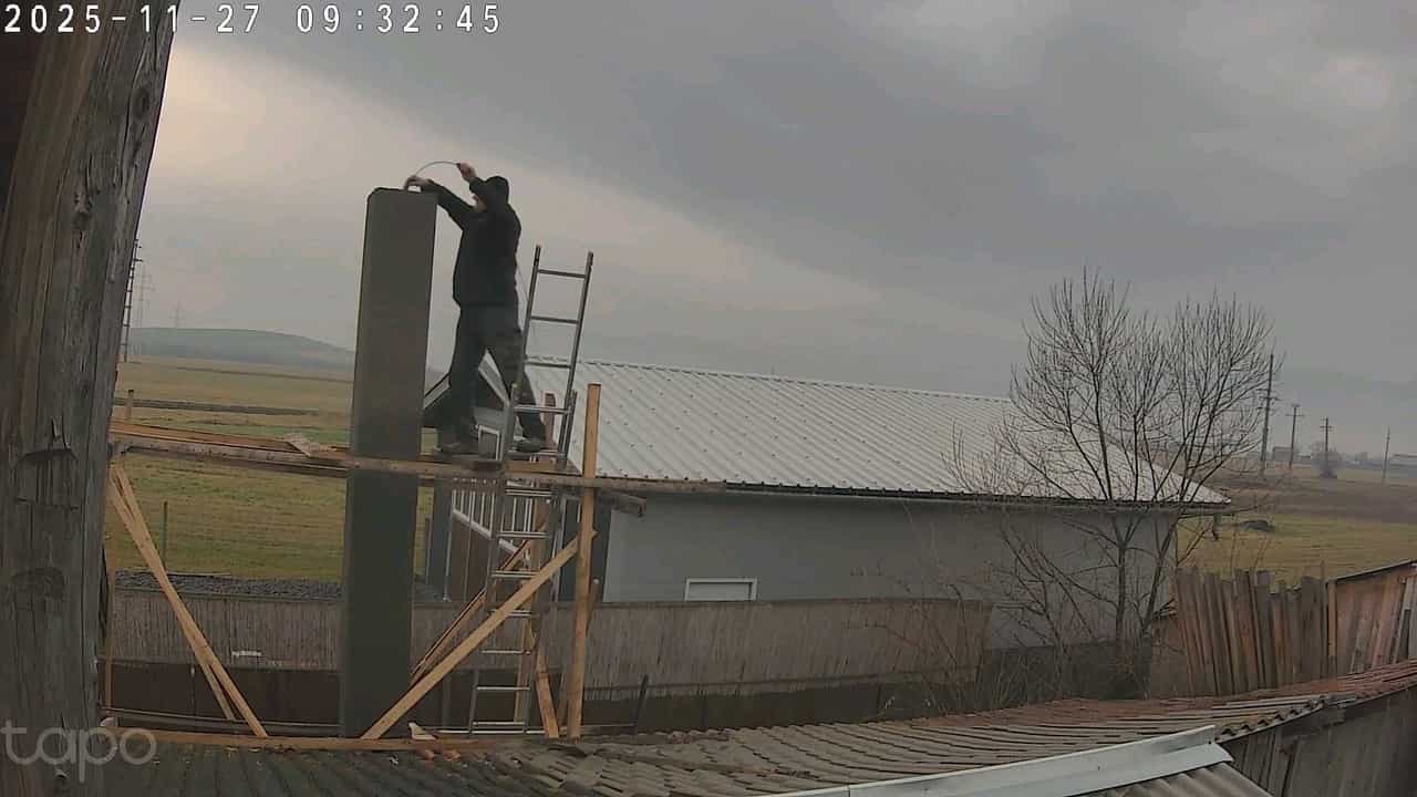 Professional