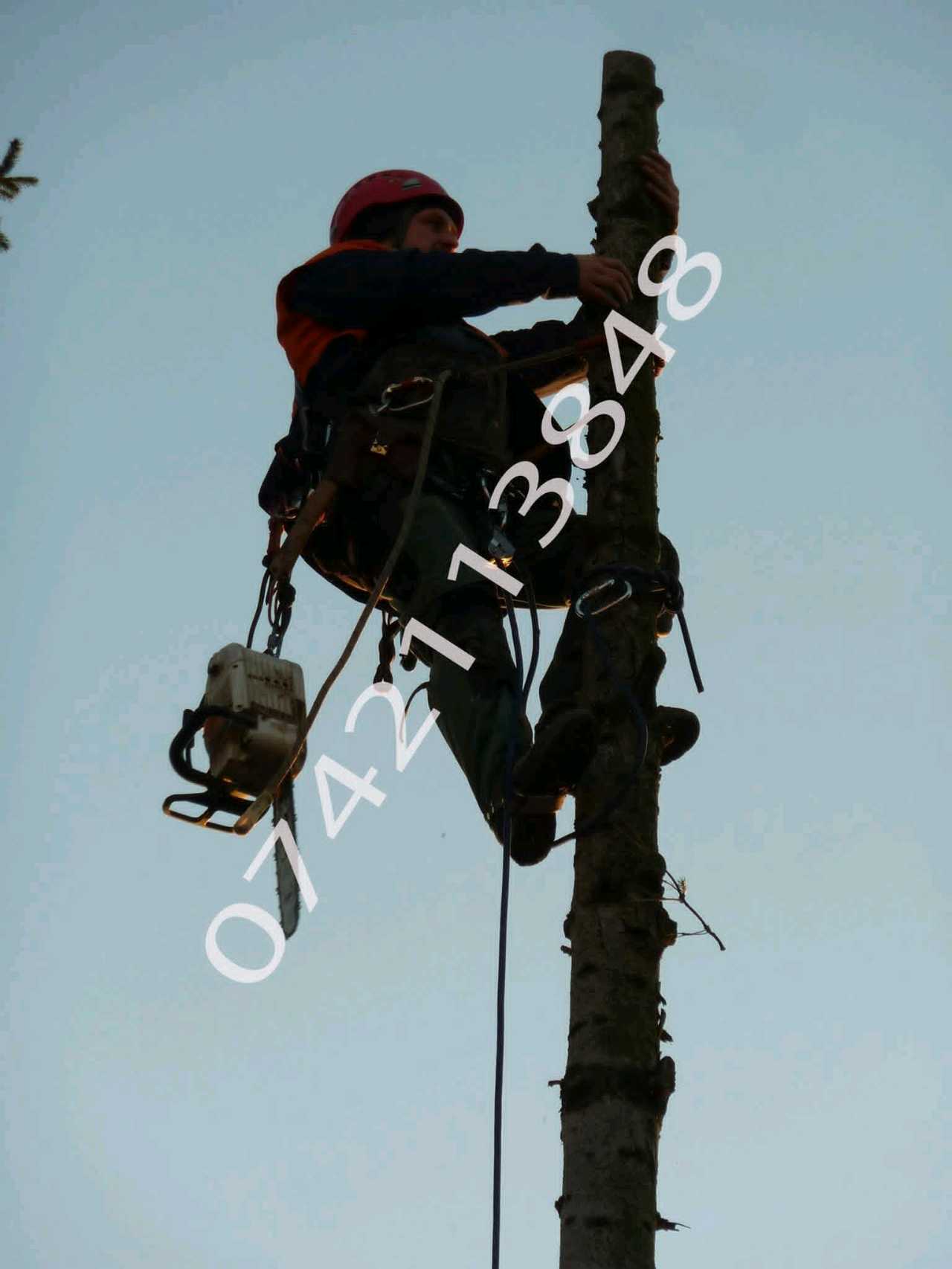 Professional