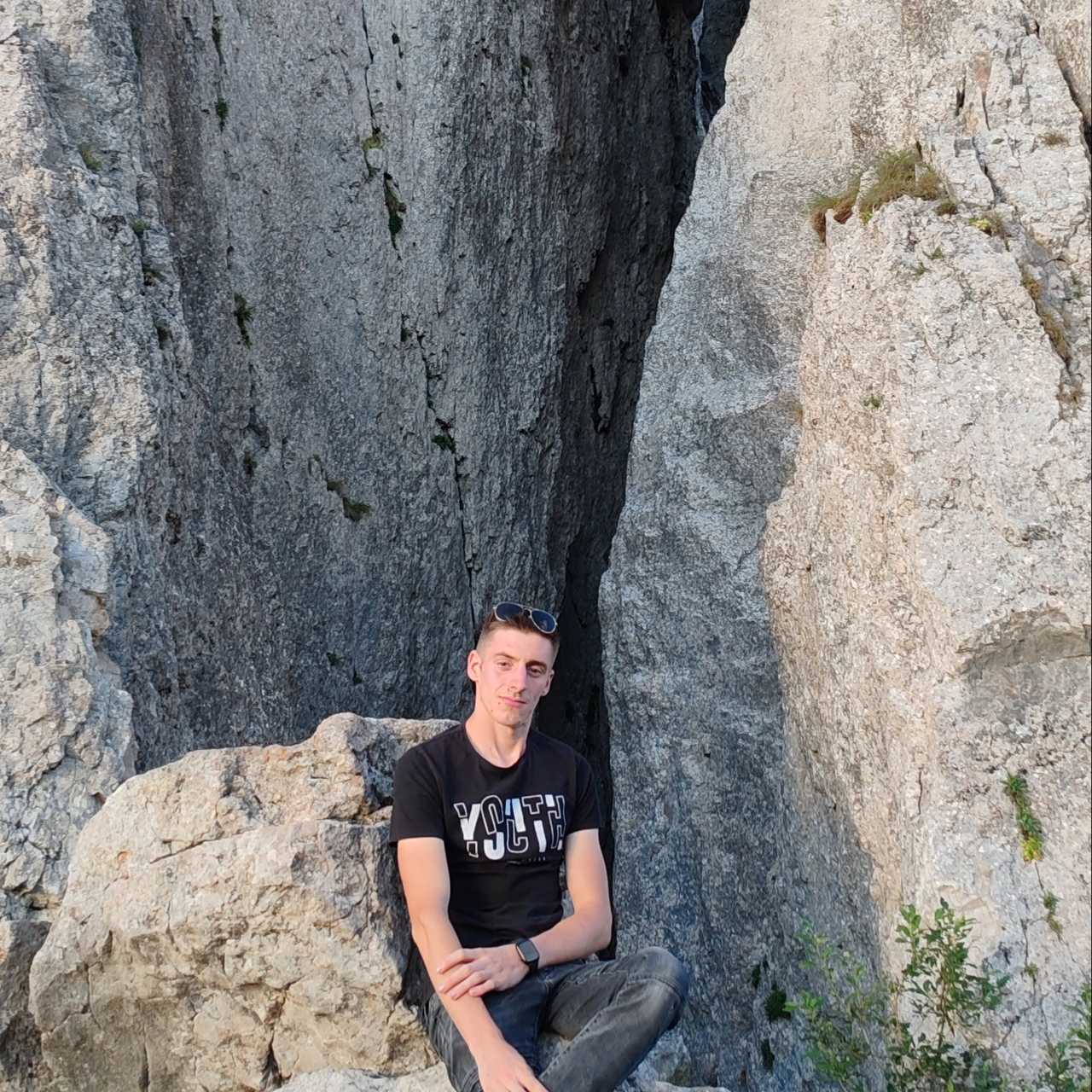 Professional