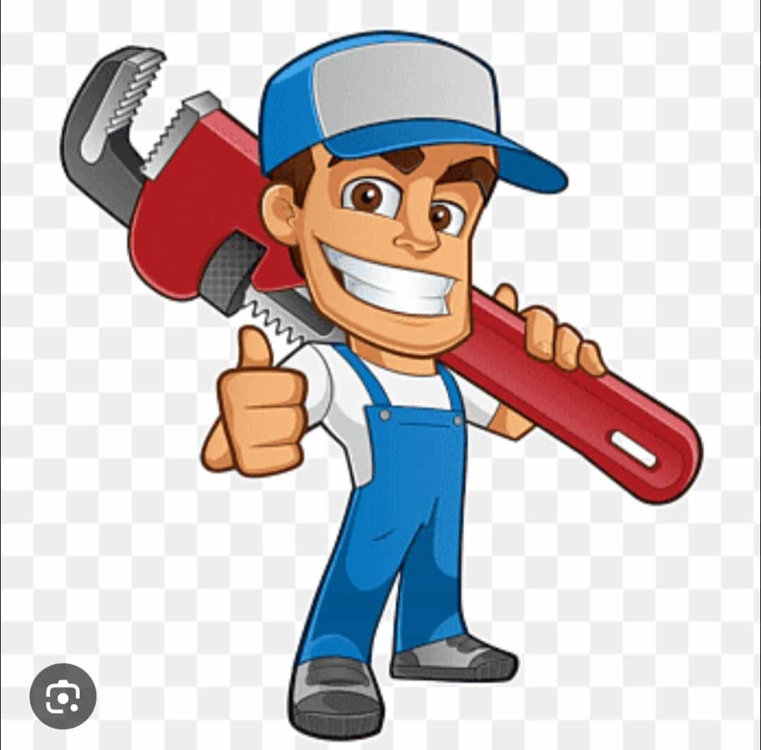Professional