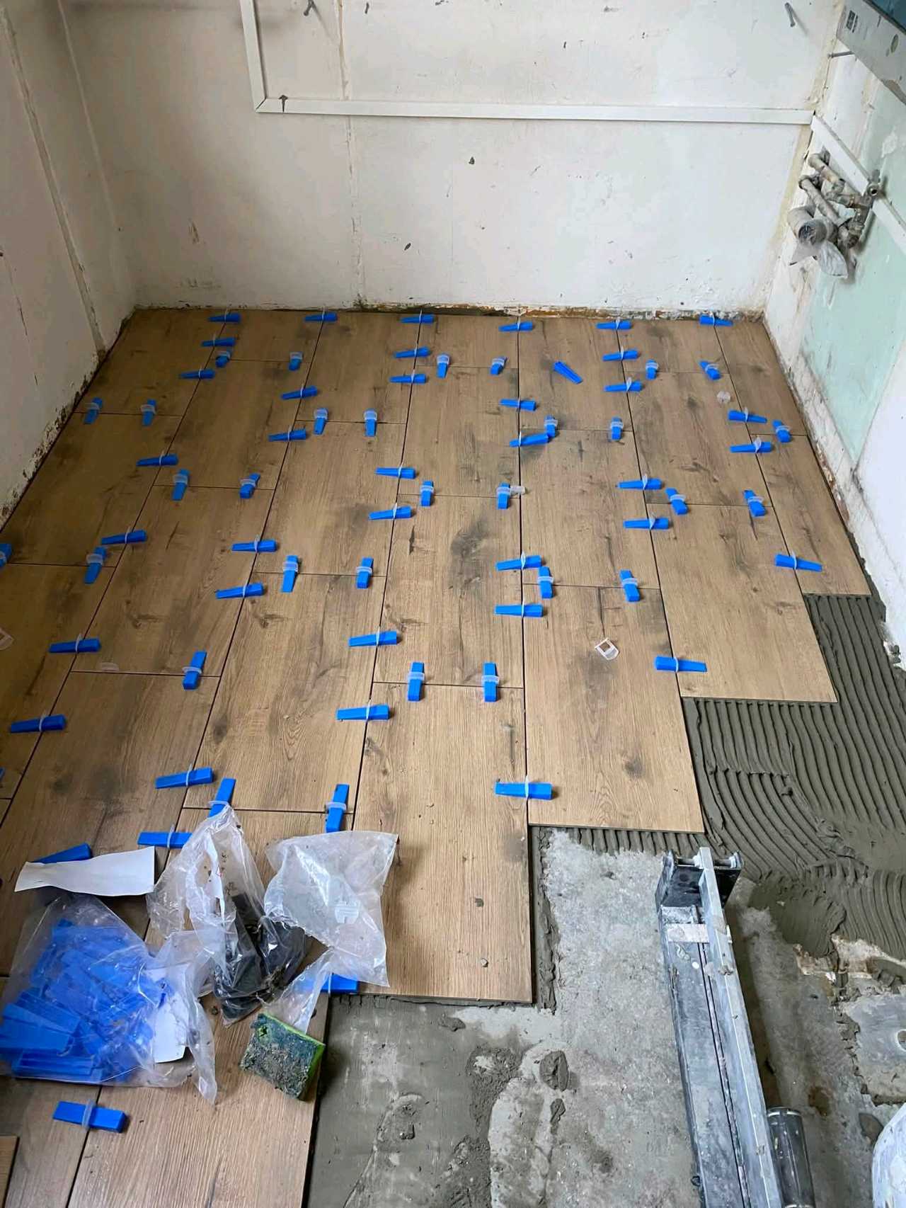 koszta alex