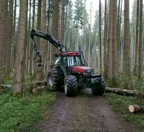 Professional