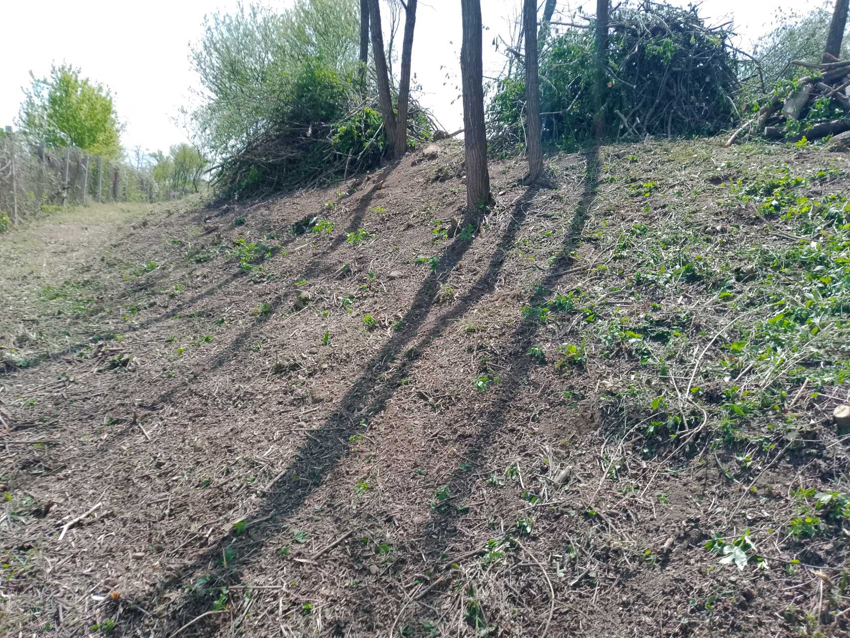Bartalis Levente – lucrări 9