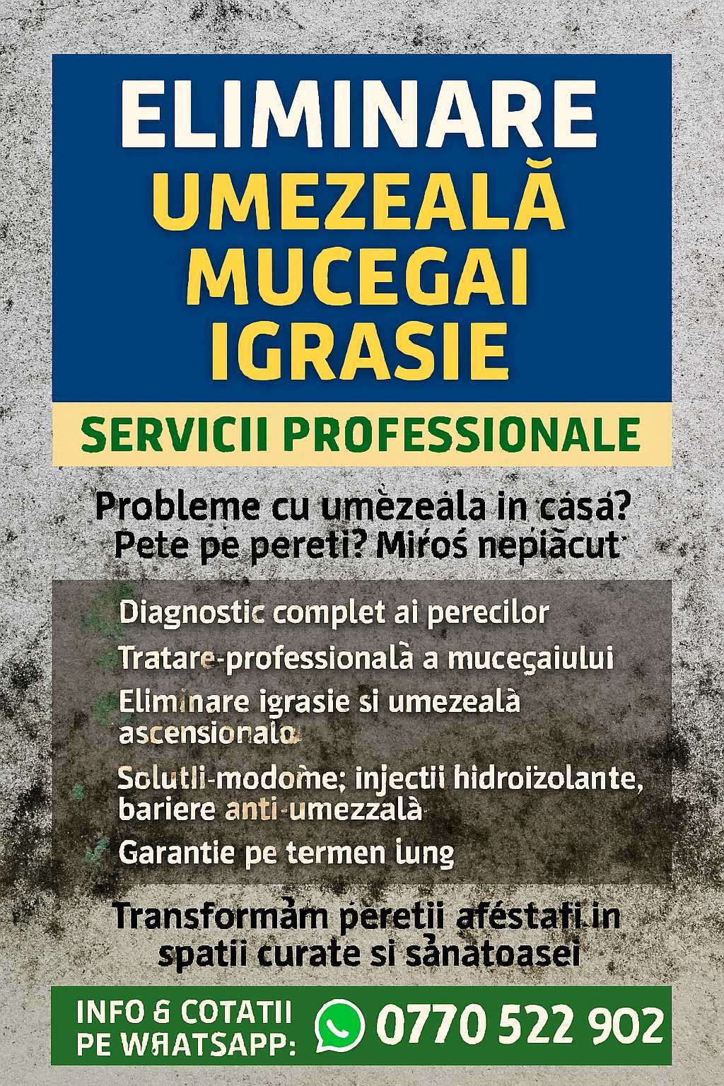 Professional