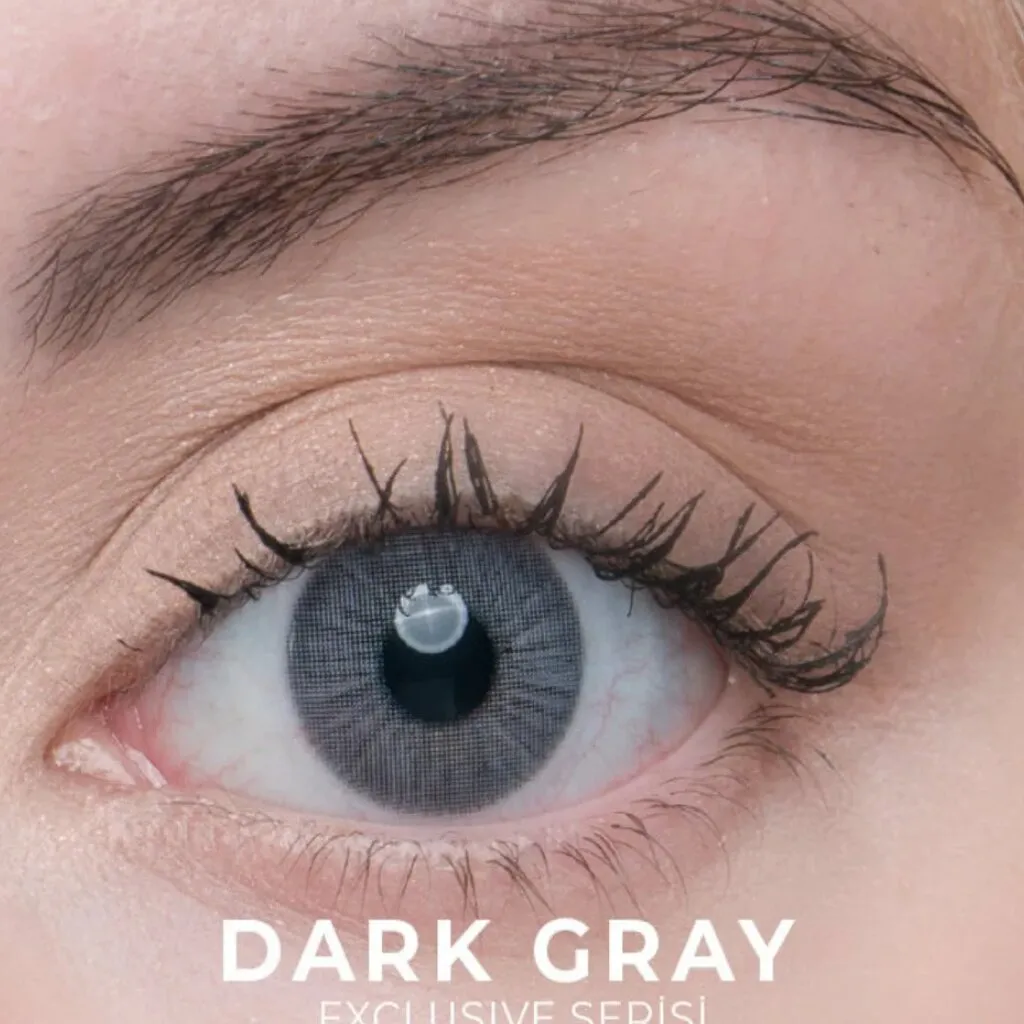 LA'BELLA LABELLA EXLUSIVE DARK GRAY Numarasız Renkli Lens