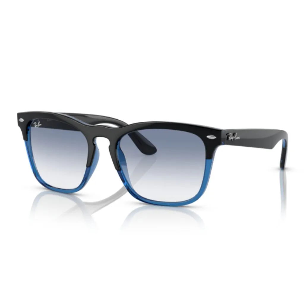 Ray-Ban Ray-Ban STEVE RB 4487 6632/19 54 Güneş Gözlüğü