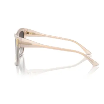 Jimmy Choo JC 5012 5025/8G 54 Güneş Gözlüğü - Görsel 3