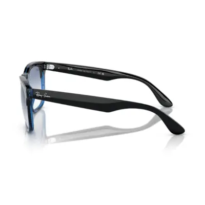 Ray-Ban STEVE RB 4487 6632/19 54 Güneş Gözlüğü - Görsel 3