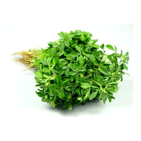 Methi Fresh