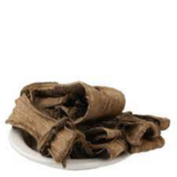 Dandasa Saak / Datoon (Teeth Cleaner)