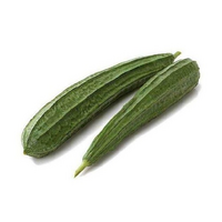 Local Fresh Squash / turai / Kadu / 角瓜