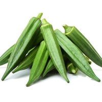 Bindi/Okra