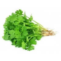 Dania Fresh Coriander Local