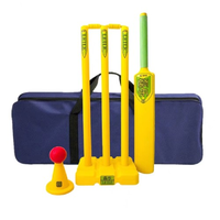 Cricket Plastic Set For 12+