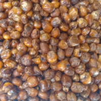 Roasted Corn Danay Maki