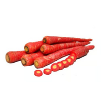 Indian Carrot Gajar 1 Pound