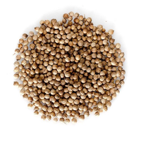 Sabut Dania(Whole Coriander)