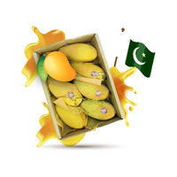 Pakistani Mango