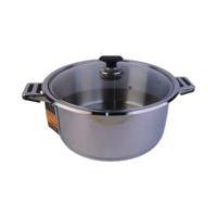 Sonex Cooking Pot/Dechka