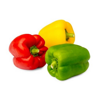 3 Colour Capsicum / Bell Pepper