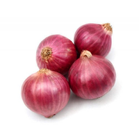 Indian Red Onion