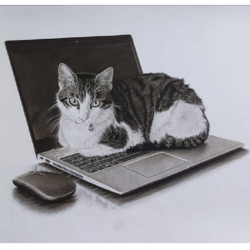 Seek for warmth view 1