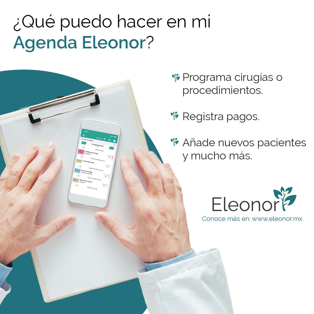 Eleonor Agenda showcase image 3