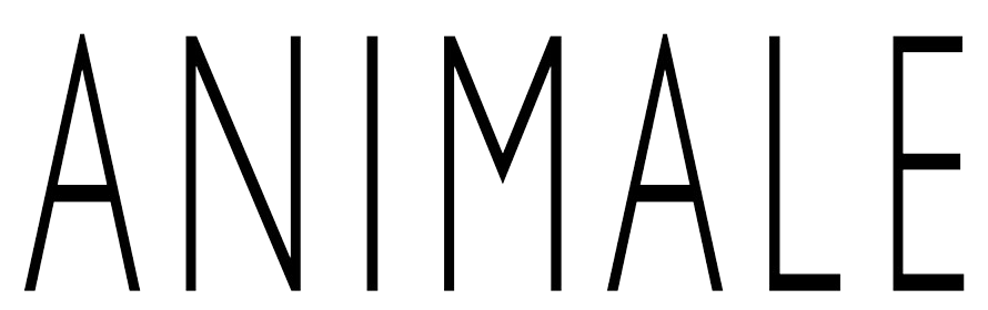 ANIMALE