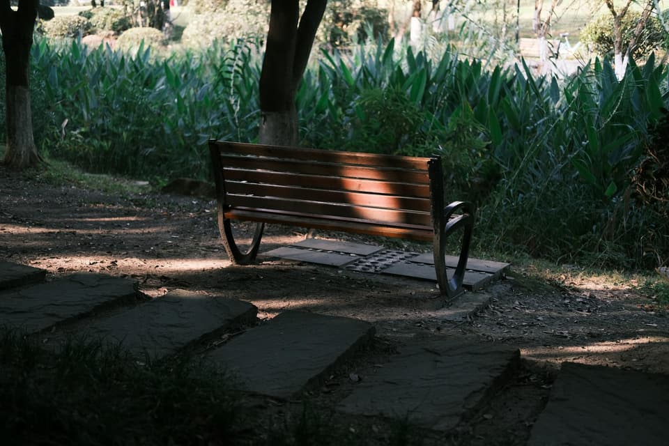 Garden Bench