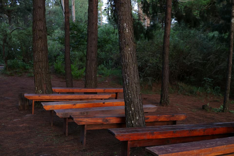 Folding Bench