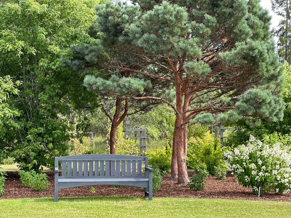 Park-Style Bench