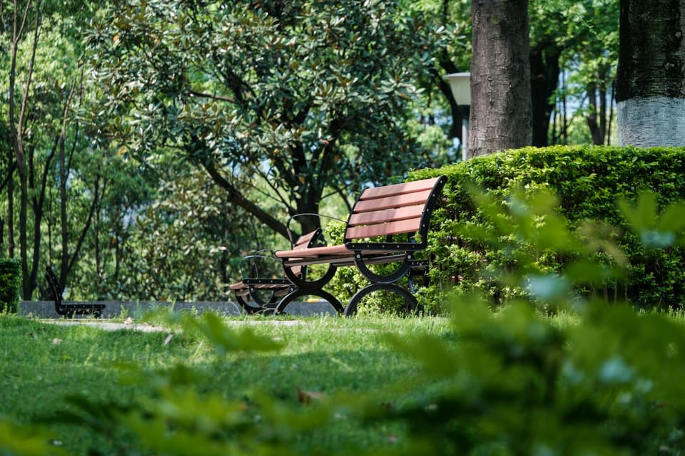 Park-Style Bench