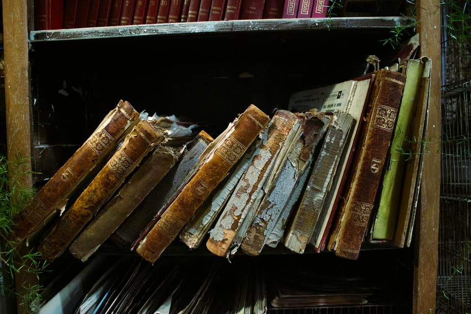 Wall-Mounted Bookshelf