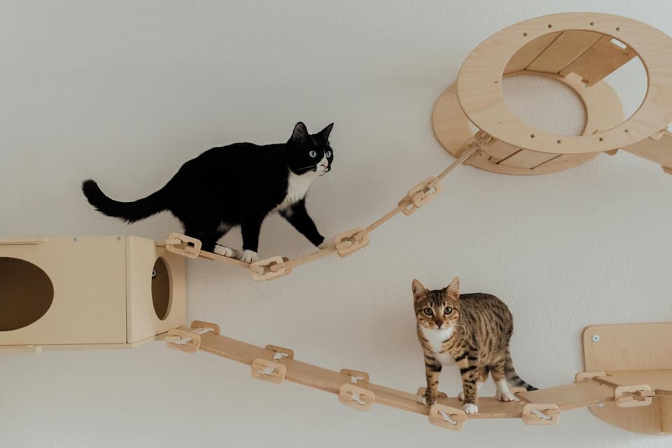 Cat Tower with Hideout