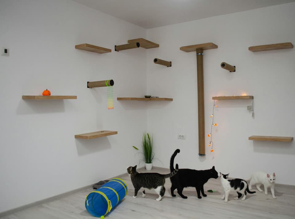 Wall-Mounted Cat Steps