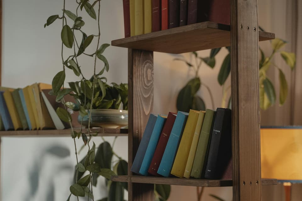 Slim Paperback Shelf