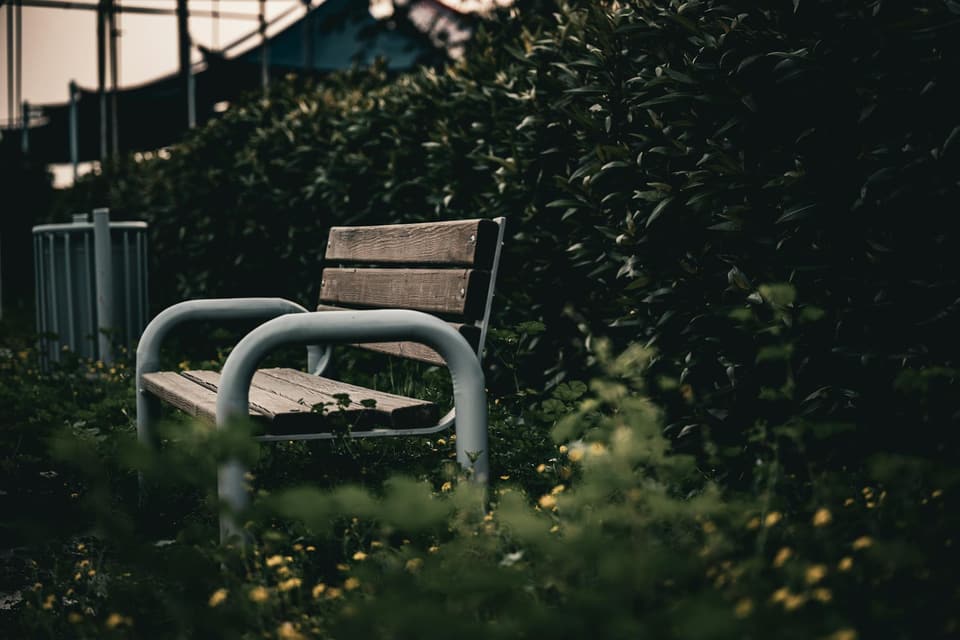 Park-Style Bench