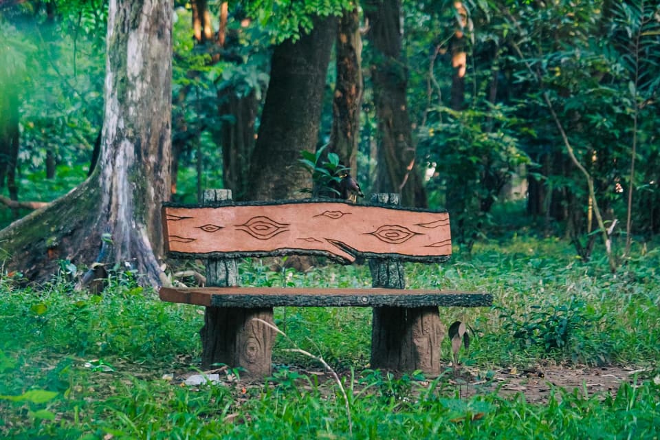 Engawa-Style Bench