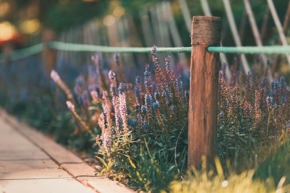 Wooden Privacy Fence
