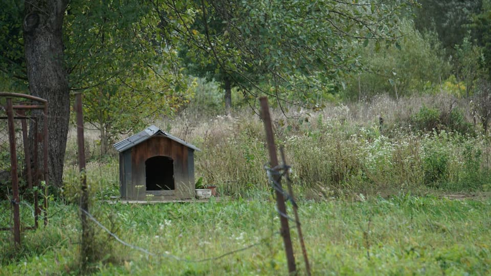 Dog House with Door