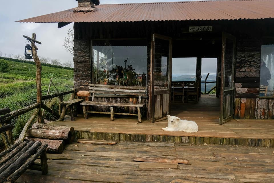 Miniature Cottage Dog House