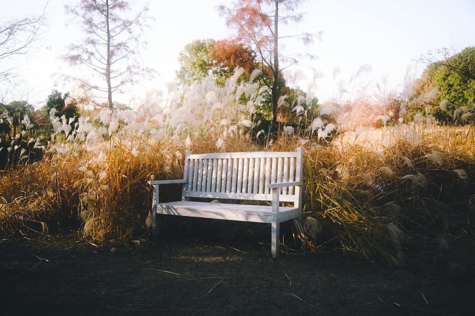 Park-Style Bench
