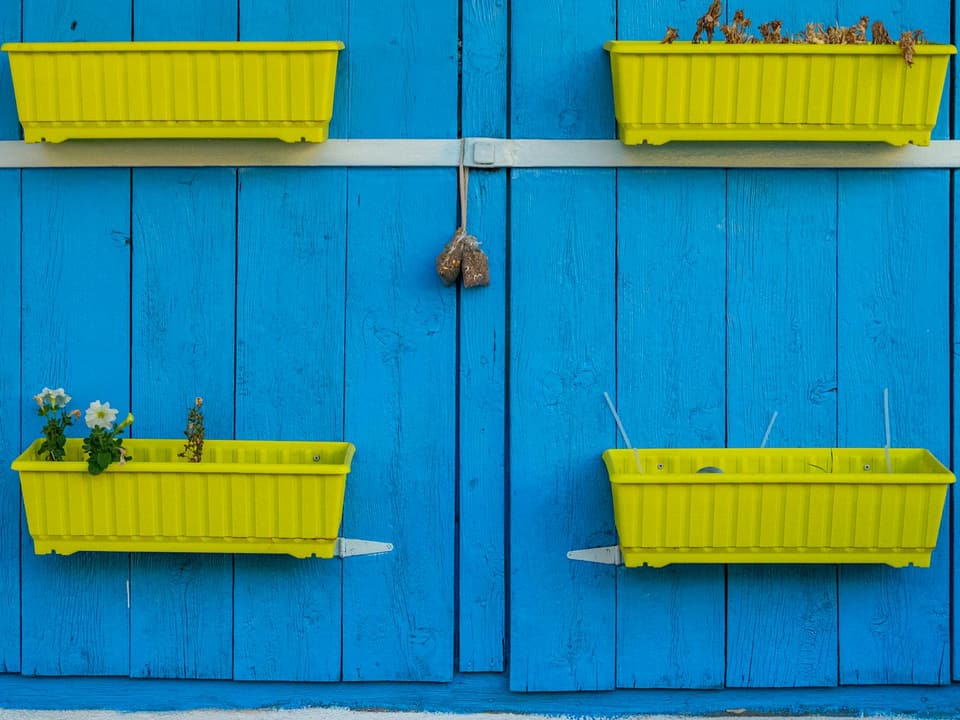 Planter Stand with Fence