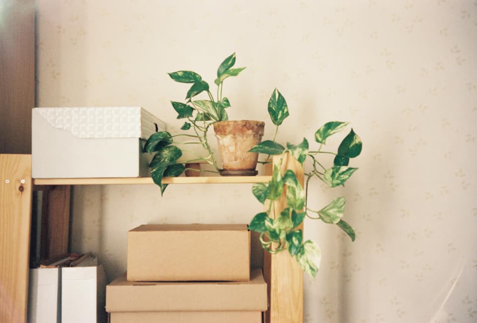 Adjustable Divider Shelf