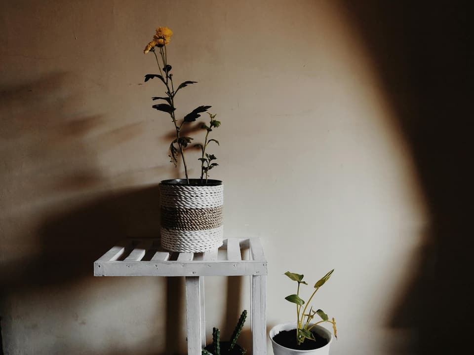 Garden Planter Stand