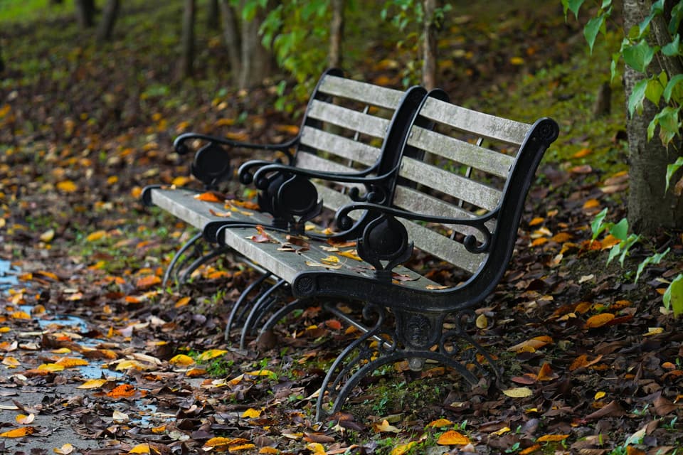 Entryway Bench Shoe Rack